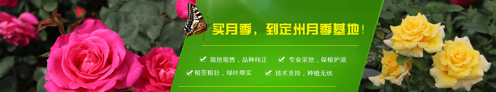 其他页面banner图